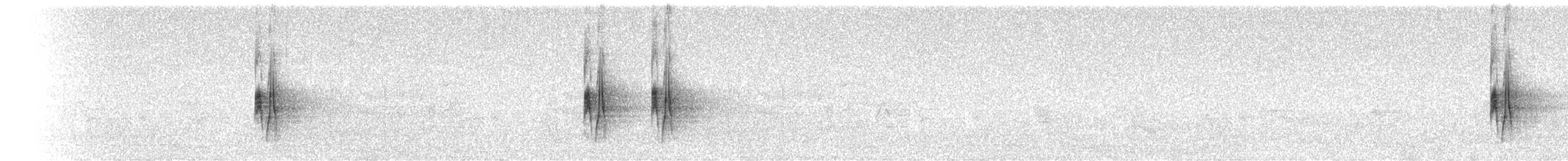 ハイイロメジロハエトリ - ML485284751