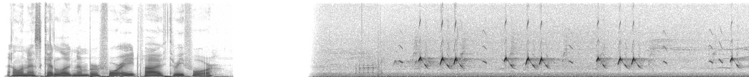Streifenpanthervogel - ML48534