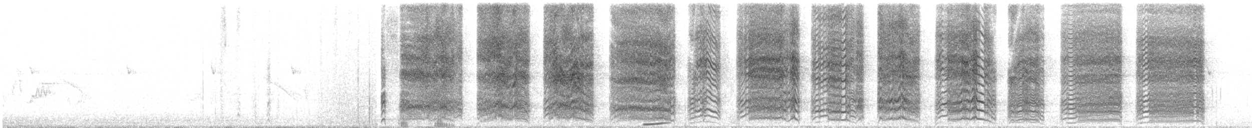 Acorn Woodpecker - ML48534191