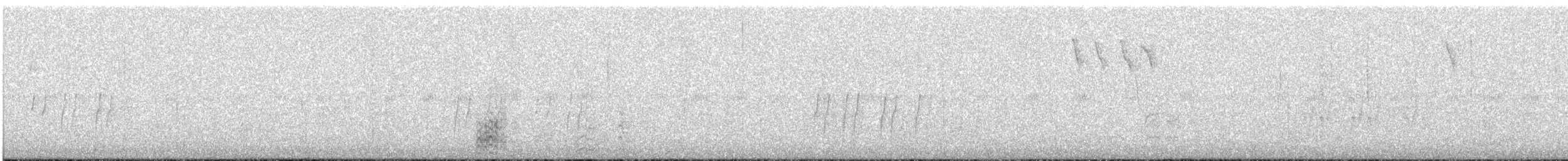 Acorn Woodpecker - ML48534821