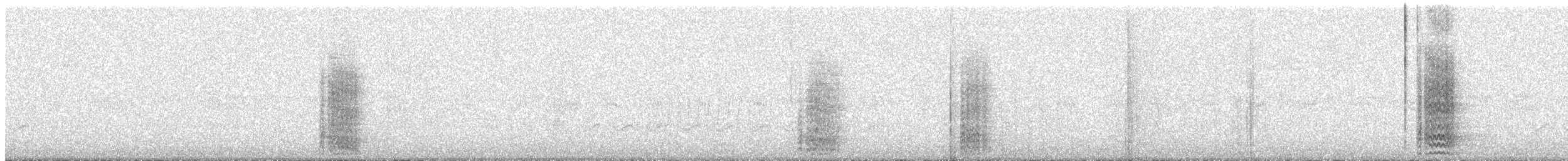 Acorn Woodpecker - ML48535071