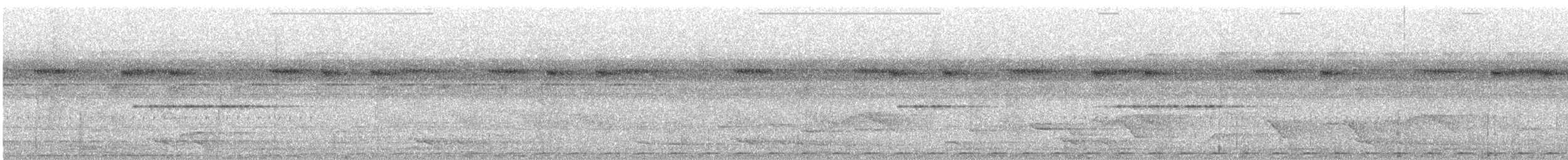 holub černobronzový - ML485351231
