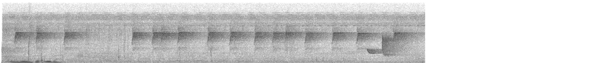 Віялохвістка плямистовола - ML485356341