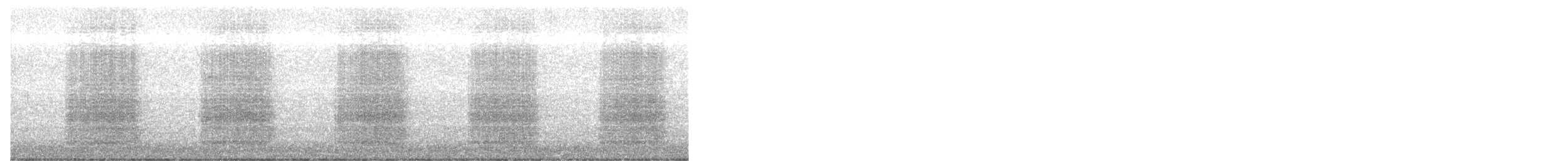 Yellow-tailed Black-Cockatoo - ML485434561