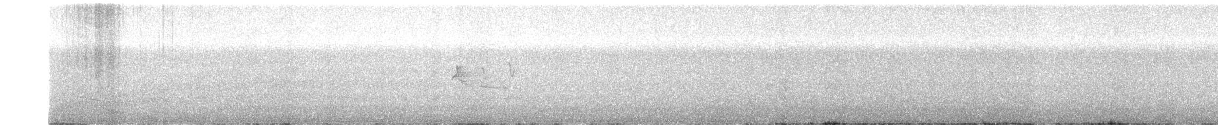 Тиранчик-короткодзьоб південний - ML485445201