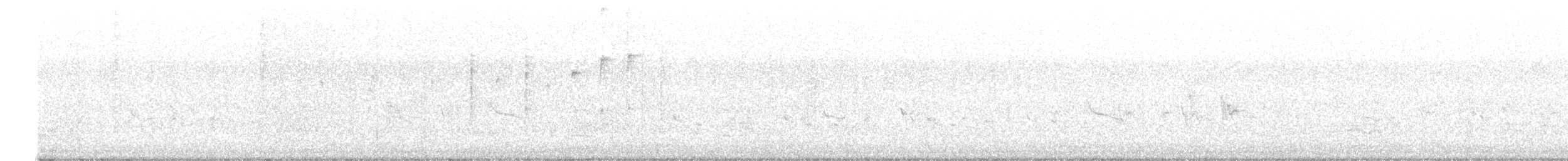 Віялохвістка мангрова - ML485479321