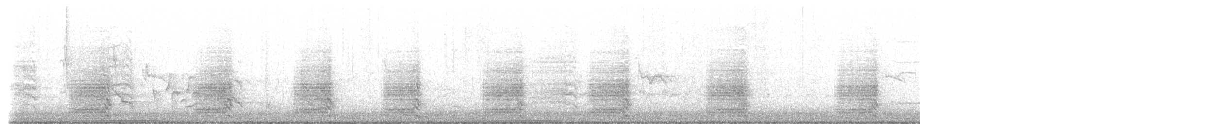 kakadu bělouchý - ML485506281
