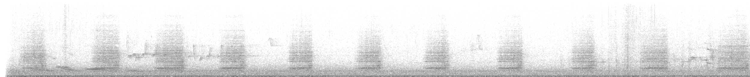kakadu bělouchý - ML485506291
