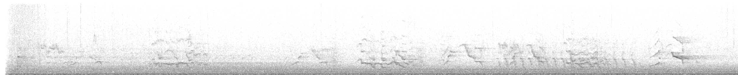 Белоухий траурный какаду - ML485506301