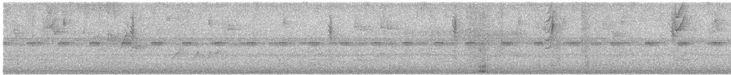 Chocó-Strichelameisenschlüpfer - ML485530851