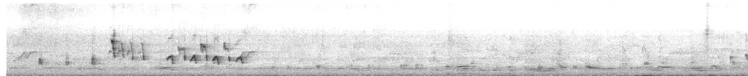 australtrostesanger - ML485533371
