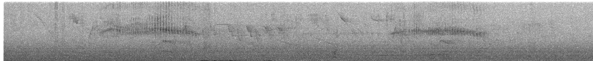 カタジロアマツバメ - ML485565371