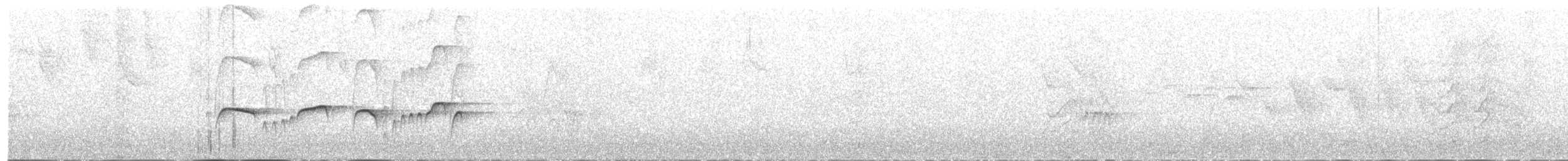 Atlantik Karınca Tiranı - ML485576861