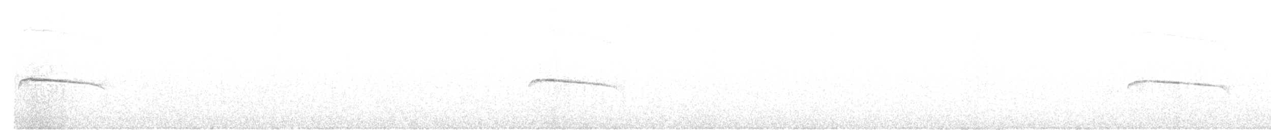 パタゴニアヒタキタイランチョウ - ML485701401