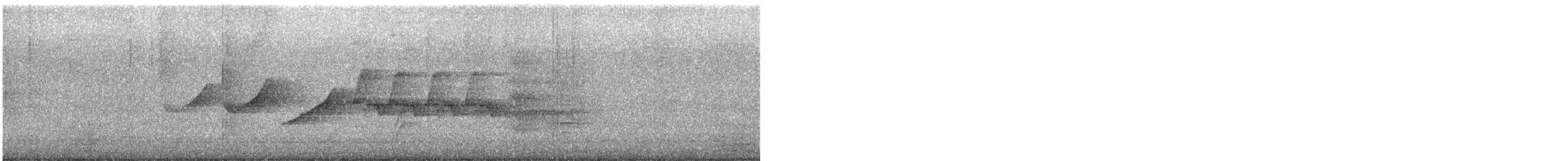Воротничковый просяночник - ML485705431