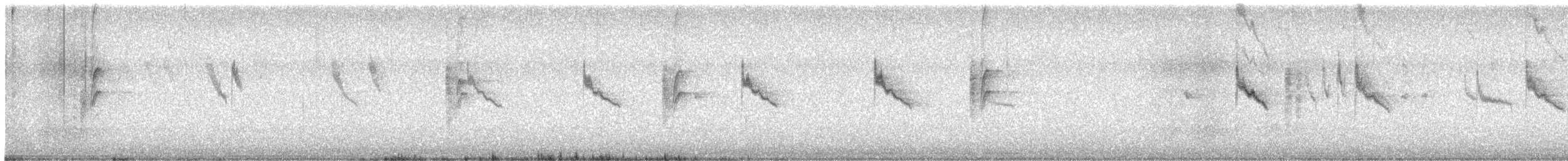 Длиннохвостый крапивник - ML485766291