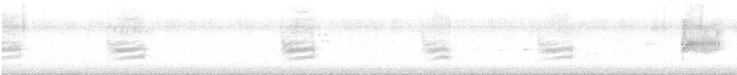 Fleckengrundammer [oregonus-Gruppe] - ML485770701