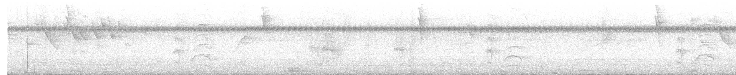 Белогузая эуфония - ML485774971