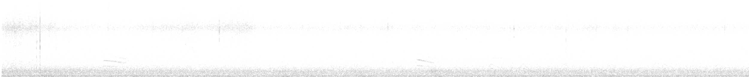 Weißbrustkleiber (aculeata/alexandrae) - ML485777421