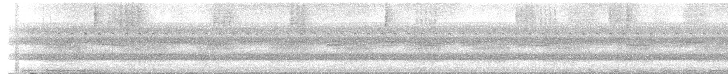 Chouette rayée - ML485784961