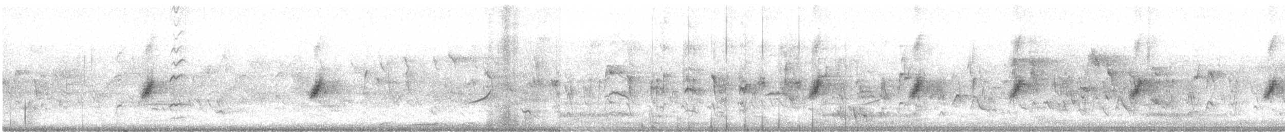 クロオビミツスイ - ML485822101