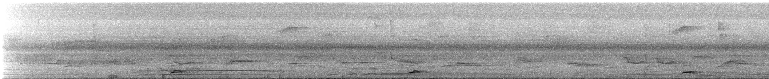 Blue-throated Motmot - ML485854281