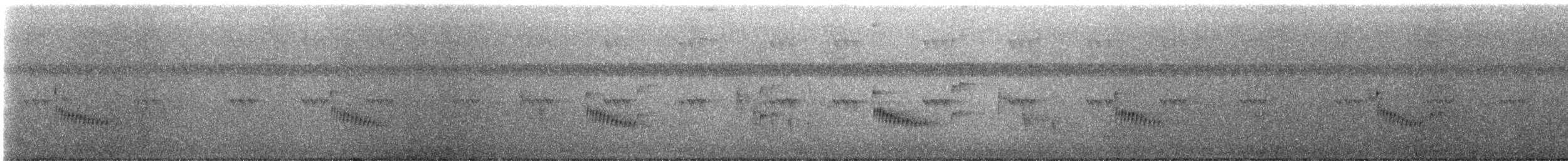 Поплітник каролінський - ML485872291