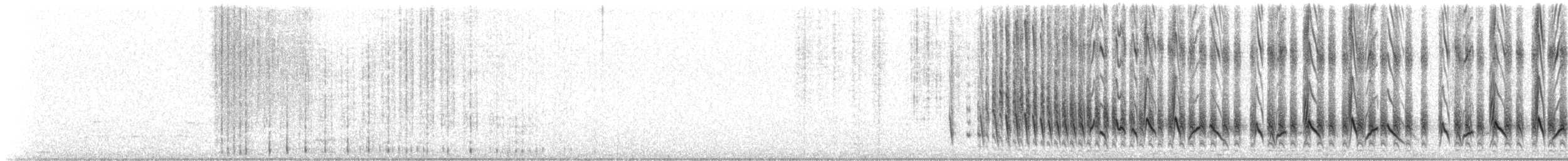 Weißbürzeltangare - ML485874331
