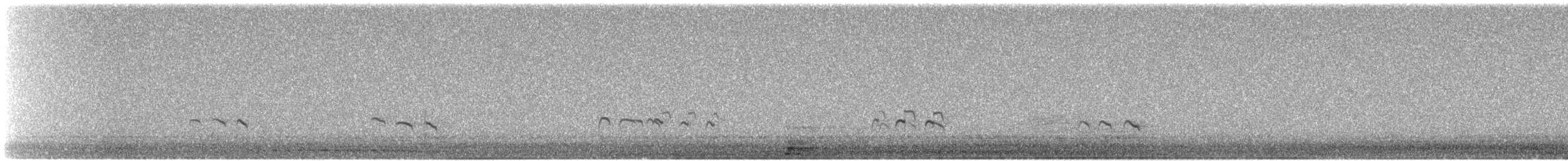 Greater Yellowlegs - ML485880451