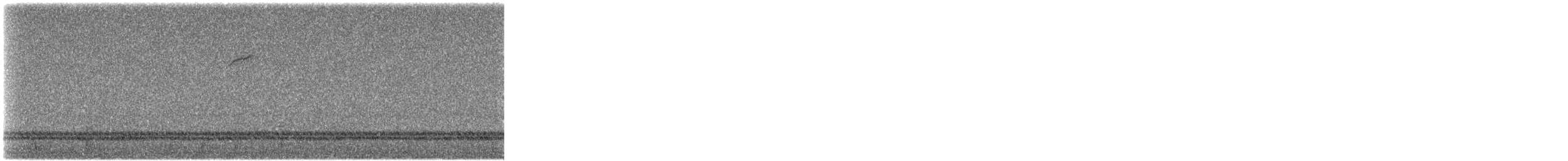 Grasshopper Sparrow - ML485880481