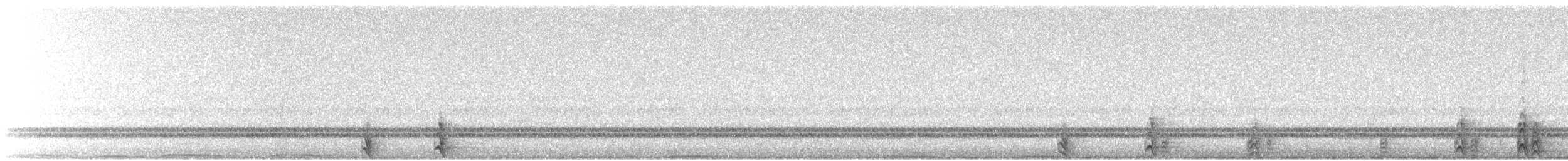 Western Screech-Owl - ML485880741