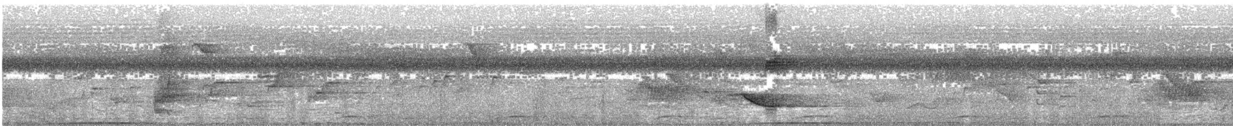 holub andamanský - ML485889381
