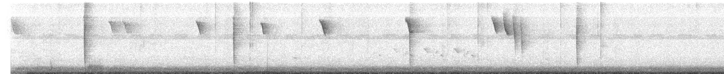 Тремблер прямодзьобий - ML485891141