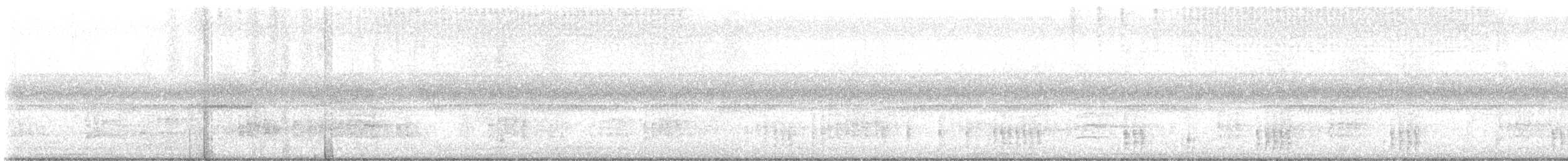 Barred Owl - ML485893061