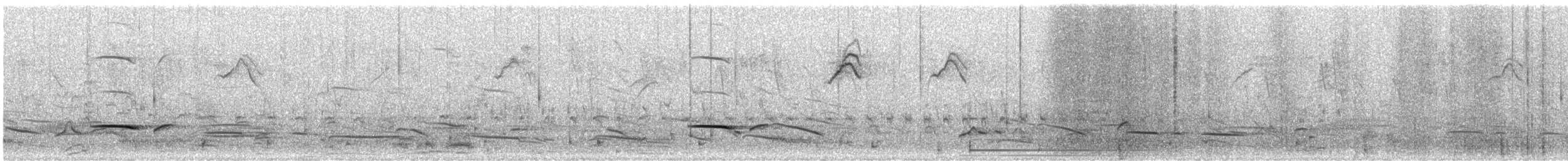 Tinamu sabelzuria - ML485905591