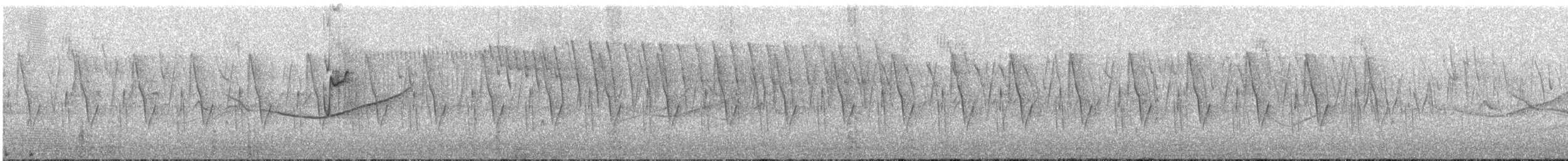 Paradoxornis de Przewalski - ML48595061