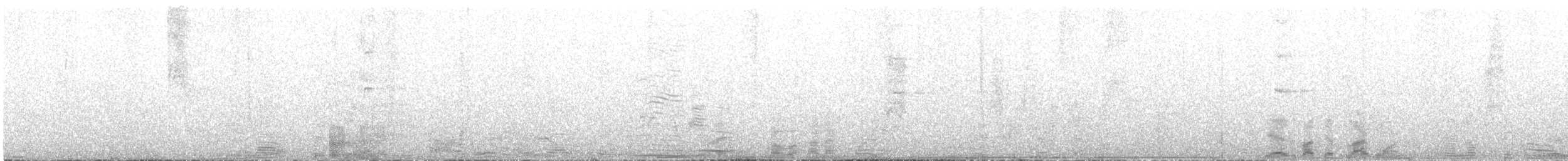 kvesal chocholatý - ML48598261