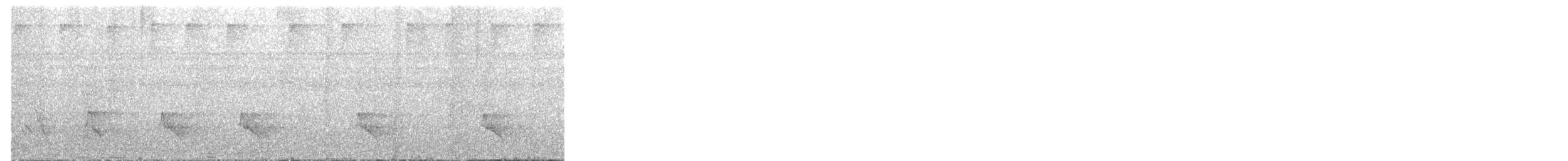 Scarlet-rumped Cacique - ML48598361