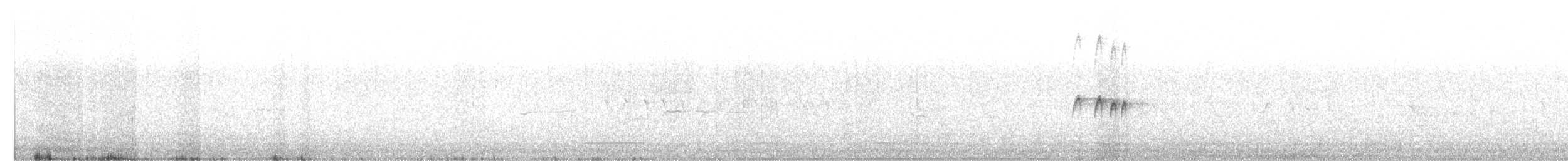 Тиран техаський - ML48598431