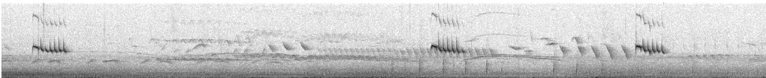 "Канарский вьюрок, дикая канарейка (Одомашенного вида)" - ML486073641