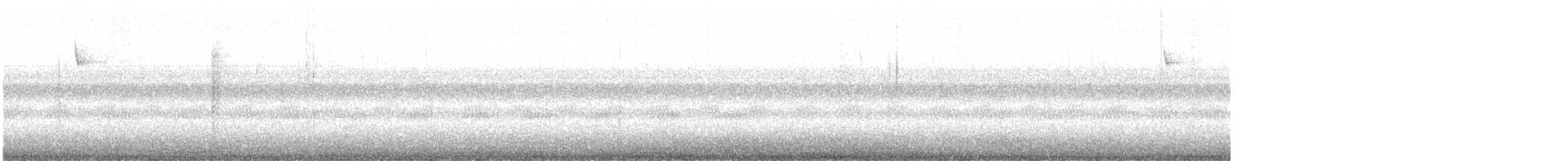 Singammer - ML486123021