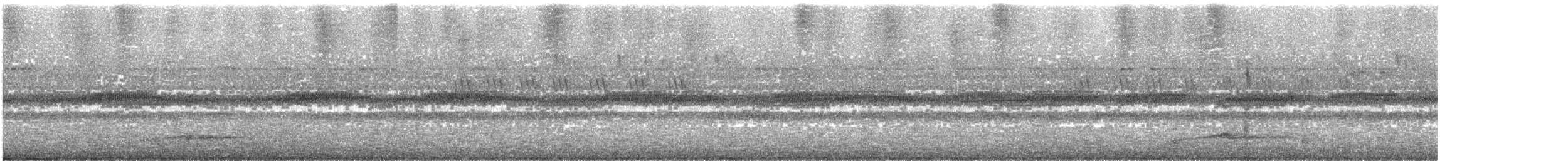 Nicobar Scops-Owl - ML486127651