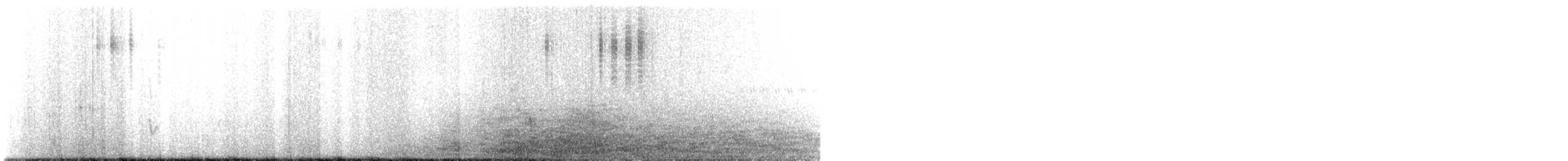 Colibrí de Taczanowski - ML486131401