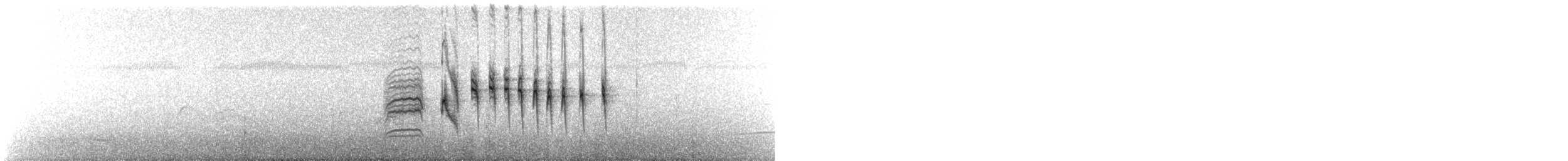 Paruline à lores noirs - ML486132401