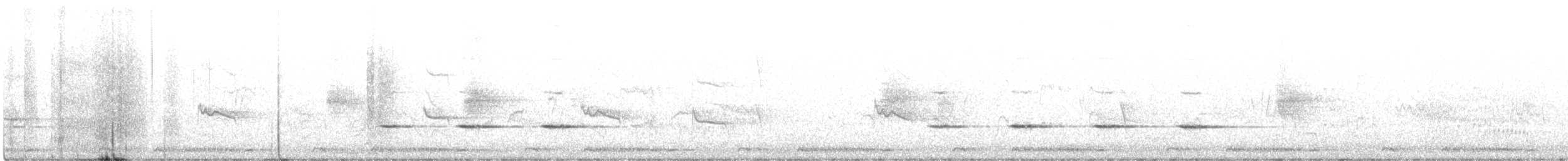 Weißflankenschnäpper - ML486139561