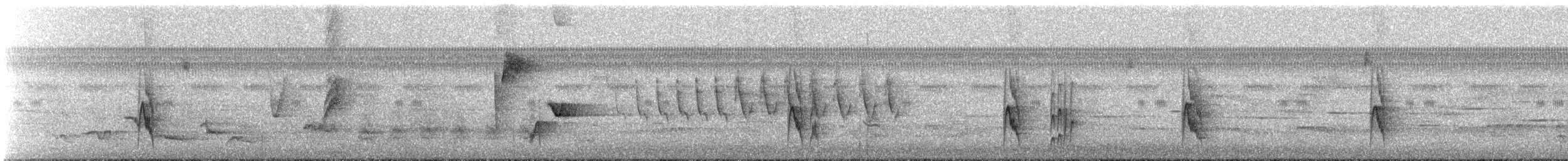 Brustband-Schnäppertyrann - ML486213301