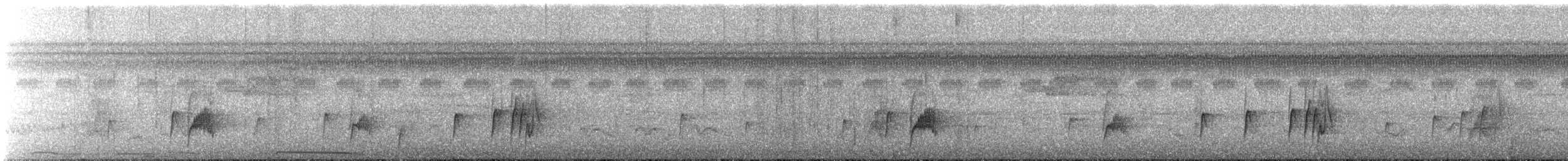 Brustband-Schnäppertyrann - ML486213331