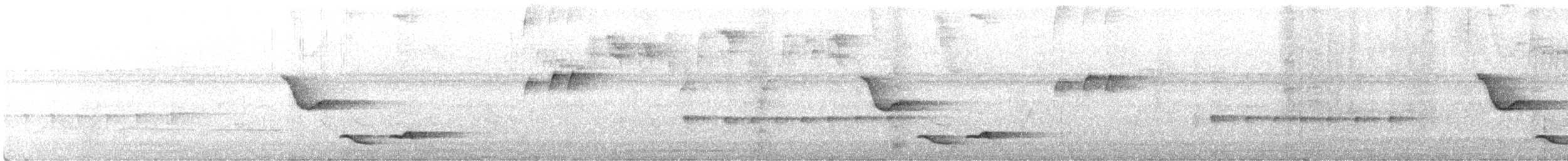 Troglodyte à poitrine blanche - ML486214561