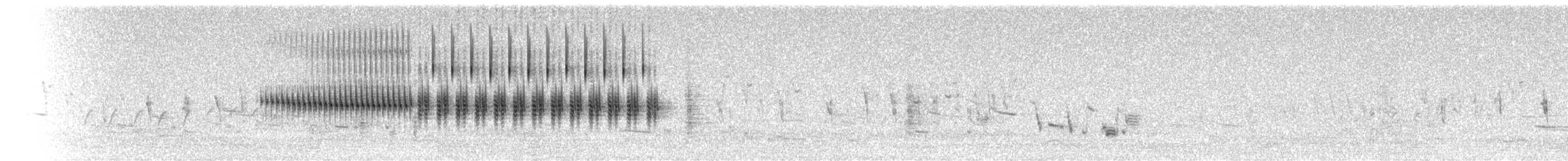 Карнатка лучна - ML486231751