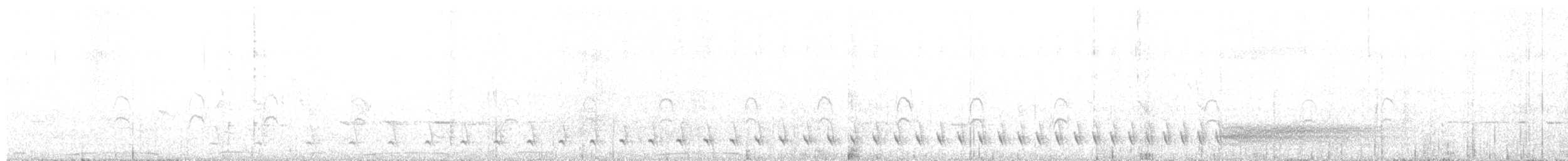Weißbrust-Ameisenwürger - ML486238741
